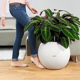 LECHUZA PURO Color Round Poly Resin Self-watering Planter