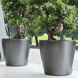 LECHUZA CLASSICO LS Round Poly Resin Self-watering Planter