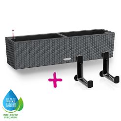 LECHUZA BALCONERA Cottage Trough Poly Resin Self-watering Planter Set