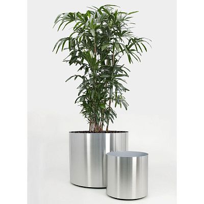 Superline Standard on Ring Round Indoor Planter