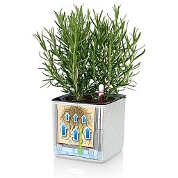LECHUZA CUBE Color Square Poly Resin Indoor Self-watering Planter