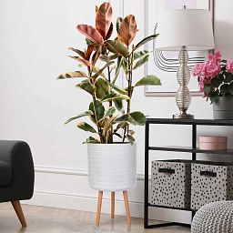 IDEALIST Lite Plaited Style Cylinder Planter on Legs, Round Pot Plant Stand Indoor