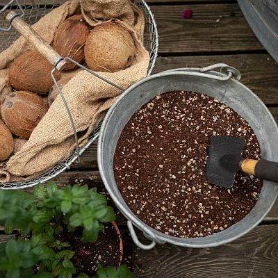 LECHUZA VEGGIEPON Organic Peat-Free Potting Compost for Vegetables Growing