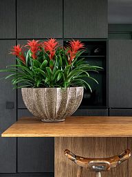 Composits Polystone Rock Bowl Indoor Planter Pot