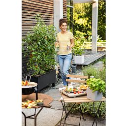 LECHUZA TRIO Stone Trough Poly Resin Self-watering Planter