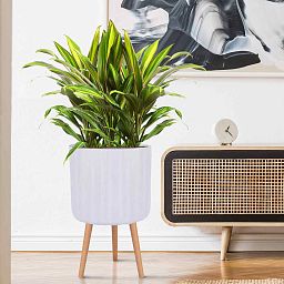IDEALIST Lite Modern Ribbed Cylinder Planter on Legs, Round Pot Plant Stand Indoor