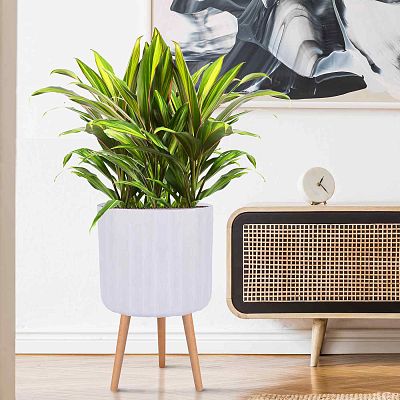 IDEALIST Lite Modern Ribbed Cylinder Planter on Legs, Round Pot Plant Stand Indoor