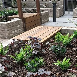 Heart of Eden Decorative Wood Bark