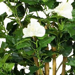 HIBISCUS EXTRA Artificial Tree Plant