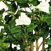 HIBISCUS EXTRA Artificial Tree Plant