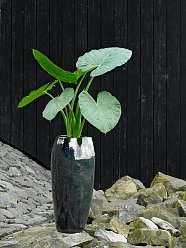 Ceramic Round Tall Glossy Planter Pot In/Out