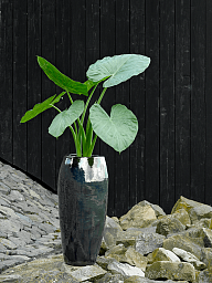 Ceramic Round Tall Glossy Planter Pot In/Out
