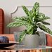 IDEALIST Lite Plaited Style Table and Hanging Cylinder Round Plant Pot Dual Use Indoor Planter