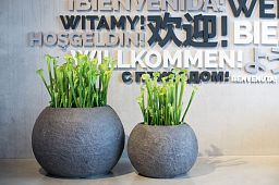 SARRACENIA Artificial Flower Plant