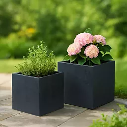 IDEALIST Lite Square Box Contemporary Light Concrete Planter