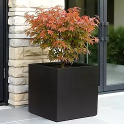 IDEALIST Lite Square Box Contemporary Light Concrete Planter