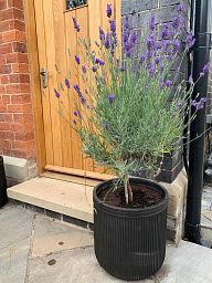 IDEALIST Lite Vertical Ribbed Vintage Style Round Planter