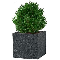 IDEALIST Lite Square Textured Concrete Effect Outdoor Planter