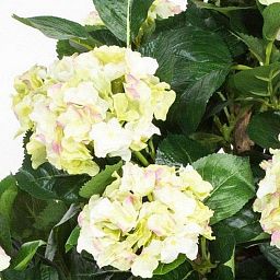 Hydrangea Artificial Flower Plant