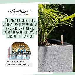 LECHUZA CANTO Slatestone Low Square Poly Resin Self-watering Planter