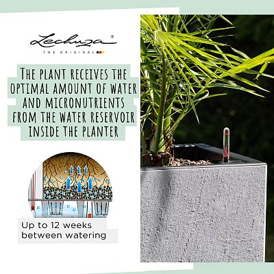LECHUZA CANTO Slatestone Low Square Poly Resin Self-watering Planter