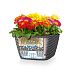 LECHUZA BACINO Cottage Square Poly Resin Self-watering Planter