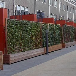 Hardwood Sevilla Hedge Trough Wood Outdoor Planter