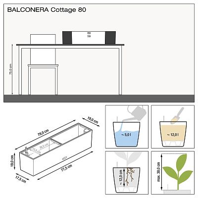 LECHUZA BALCONERA Cottage Trough Poly Resin Self-watering Planter Set