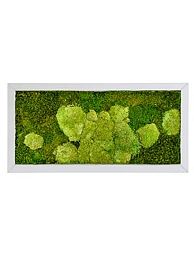 Moss Painting Superline Rectangle