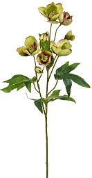 Silk Helleborus Artificial Flower Plant