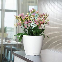 LECHUZA CLASSICO Round Poly Resin Planter Only