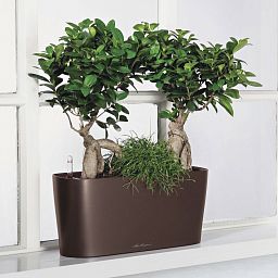 LECHUZA DELTA 10|DELTA 20 Poly Resin Indoor Self-watering Planter