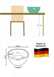 Peperomia in LECHUZA CUBETO Stone Self-watering Planter, Total Height 25 cm