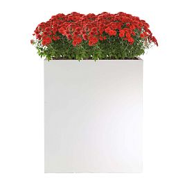 IDEALIST Lite Narrow Contemporary Light Concrete Trough Planter