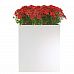 Narrow Contemporary Light Concrete Trough Planter by Idealist Lite
