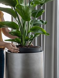 Gradient Partner Round Tall Matt Indoor Planter