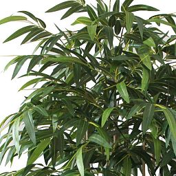 Bamboo Contract Artificial Tree Plant