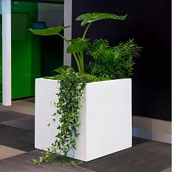 Square Fiberstone Planter by Idealist Premium BLOCK Glossy