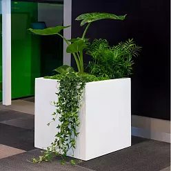 Square Fiberstone Planter by Idealist Premium BLOCK Glossy Square Fiberstone Planter by Idealist Premium BLOCK Glossy