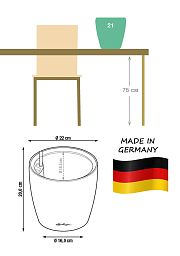 Tangerine Tree in LECHUZA CLASSICO LS Self-watering Planter, Total Height 50 cm