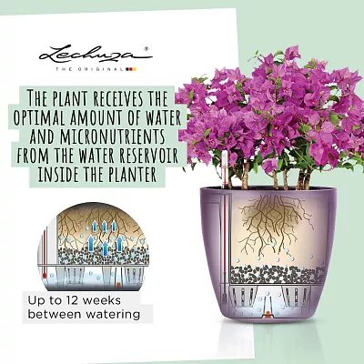 LECHUZA CLASSICO Color Round Poly Resin Self-watering Planter