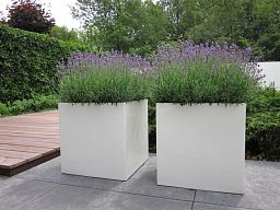 Glossy Outdoor Fiberglass Square Planter