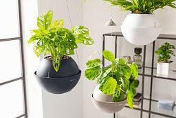 LECHUZA BOLA Color Round Poly Resin Self-watering Planter