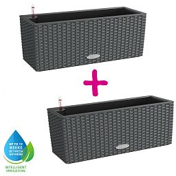 LECHUZA BALCONERA Cottage Trough Poly Resin Self-watering Planter Set