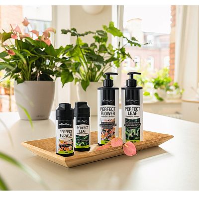 LECHUZA Liquid Orchid Fertiliser Perfect Orchid Fluid