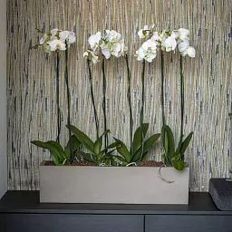 WINDOW BOX Fiberstone Planter by Idealist Premium Balcony