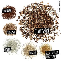 LECHUZA CITRUSPON Pre-fertilized Potting Mix for Citrus Plants Potting Soil Compost