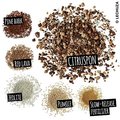 LECHUZA CITRUSPON Pre-fertilized Potting Mix for Citrus Plants Potting Soil Compost