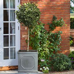 IDEALIST Lite Faux Lead Chelsea Box Square Light Concrete Planter