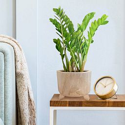 HORTICO GROWER Wooden House Planter with Legs, Indoor Plant Pot Stand with Waterproof Liner